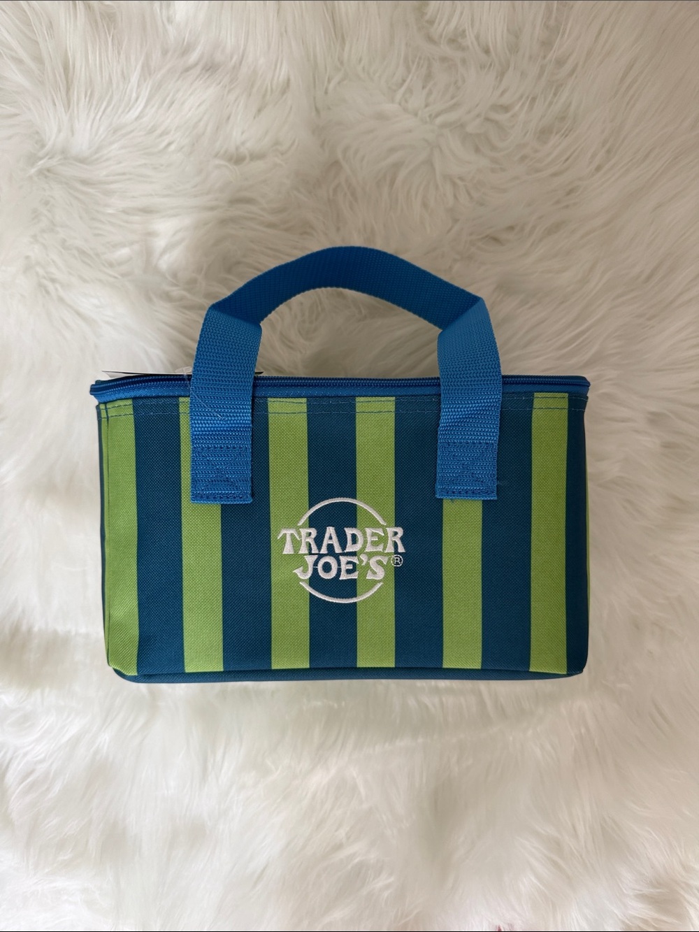 NWT Trader Joe’s Striped Mini Insulated Bag